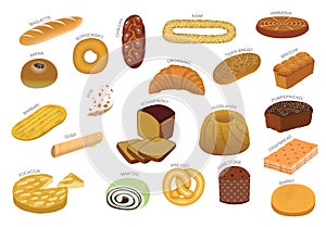 Various Bread Kind From Around the World Cartoon Vector