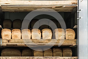 Various bread type on shelf. photo