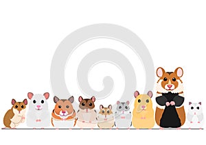 Various breeds hamsters in a row