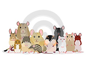 Various breeds mice and rats group