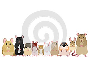 Various breeds mice in a row
