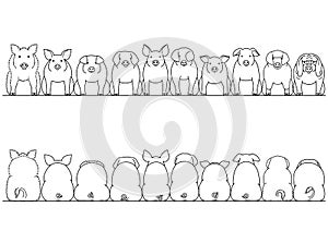 Various breeds of pigs front and back border set