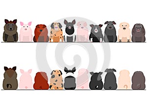 Various breeds of pigs front and back border set