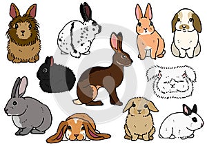 Various breeds of rabbits