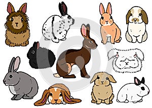 Various breeds of rabbits photo