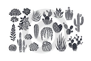Various cactus collection. Vintage silhouette linocut style illustration. Succulent set. Vector illustration photo