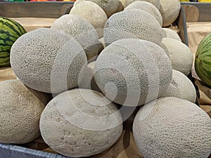 Various Cantaloupe Available for Purchase