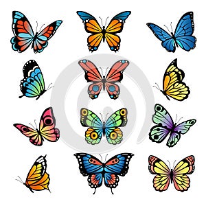 Various cartoon butterflies. Set vector illustrations of butterflies