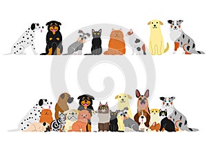 Various cats and dogs border set