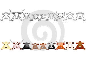 Various cattle in a row