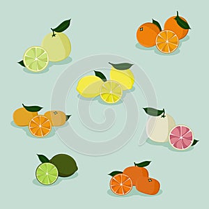 Various citrus fruits