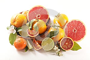 Various citrus fruits