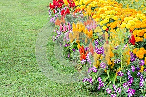 Various color flower background wall