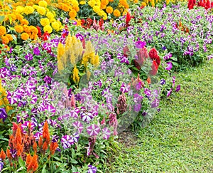 Various color flower background wall