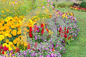 Various color flower background wall