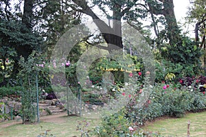 Various color flower garden and flower arch