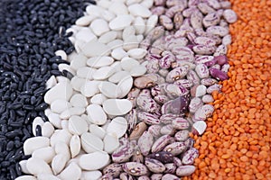 Various colorful dried legumes beans,