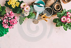 Various colorful flowers, garden tools and watering can.