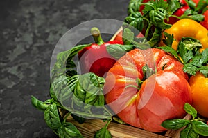 Various colorful garden tomatoes, bell peppers and spices. Ingredients for cooking on a dark background. Long banner format place