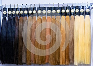 Various colors of hair extensions showcased, hanging neatly in a row