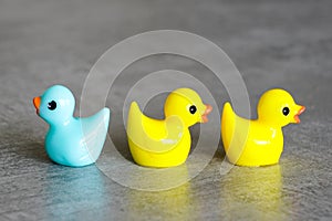 Various colors miniature toy ducklings in a row, diversity, equality and inclusion concept