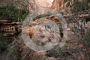 Various colors, textures, scenery and rock formations among the Zion National Park landscapes in the American southwest in the