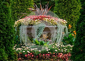 Various colourful flowers