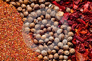 Various colourful spices close up background