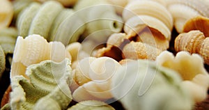 Various conchiglie pasta on white background