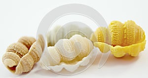 Various conchiglie pasta on white background