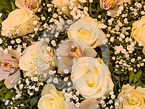 Various cut flowers, background