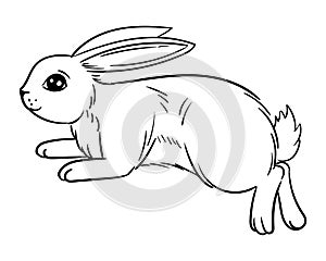 Various cute bunnies, spring, easter bunny in sketch style. Rabbit sits, sleeps and jumps vector illustration isolated