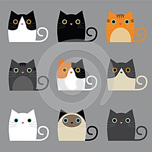 Various cute cats