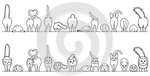 Various cute cats border in a row, front view and rear view