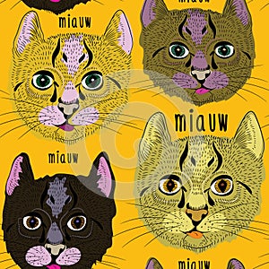 Various cute cats seamless pattern. Vector illustration on orange background