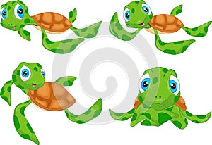 Various cute sea turtle cartoon