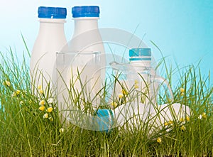 Various dairy products are in green grass