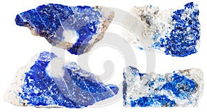 Various dark blue lazurite mineral gem stones
