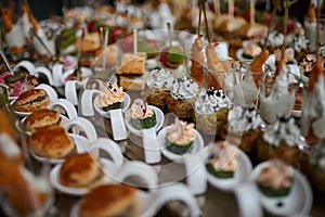 Various delicious snacks to the buffet table