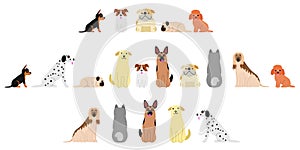 Various dogs border set1