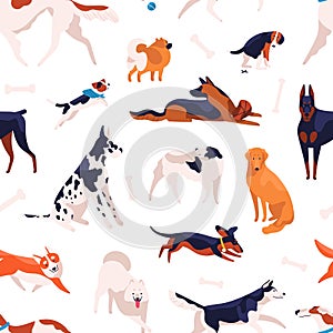 Various domestic doggy breeds seamless pattern. Different cute purebred dog posing, sitting, standing and playing