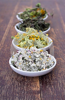Various dried herbs