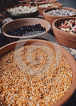 Various dried spices, andean cereals and grains in small bowls and raw herbs. Close up, Grains such as beans.