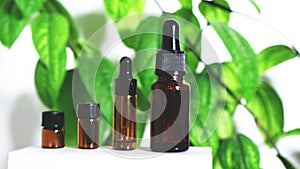 Various empty bottles of essential oils on a white background with green leaves.