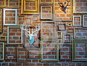 Various empty photo frames with plaster deer head hanging on brick wall