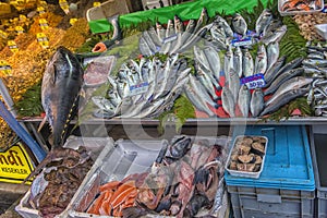 Various fish on the counter fish shop in Istanbul.