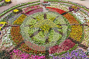 Various flower on garden pubic