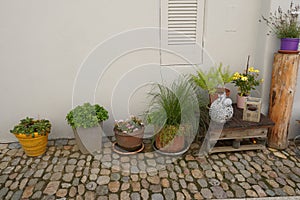 Various flower pots with herbs, plants in blossom and succulents placed on the a cobble stone ground.