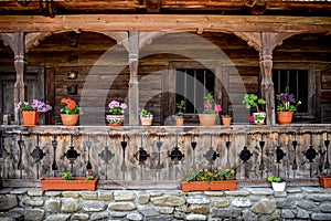 Various flowers and ceramic pots in a old, rustic terrace.