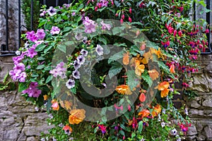 Various flowers in hanging baskets on stone wall